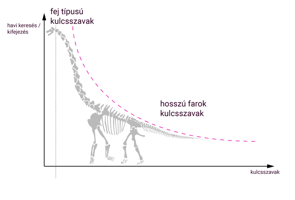 long tail seo keresési görbe széles téma esetén. mint egy diplodocus